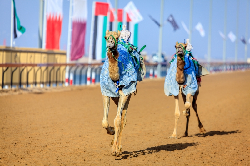 Festivals of Dubai Festivals of Dubai