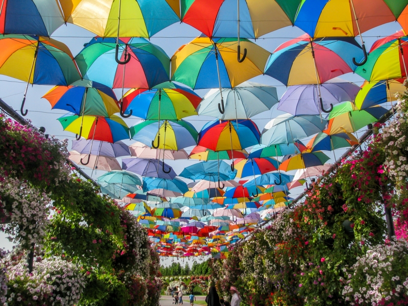 Dubai Miracle Garden Dubai Miracle Garden