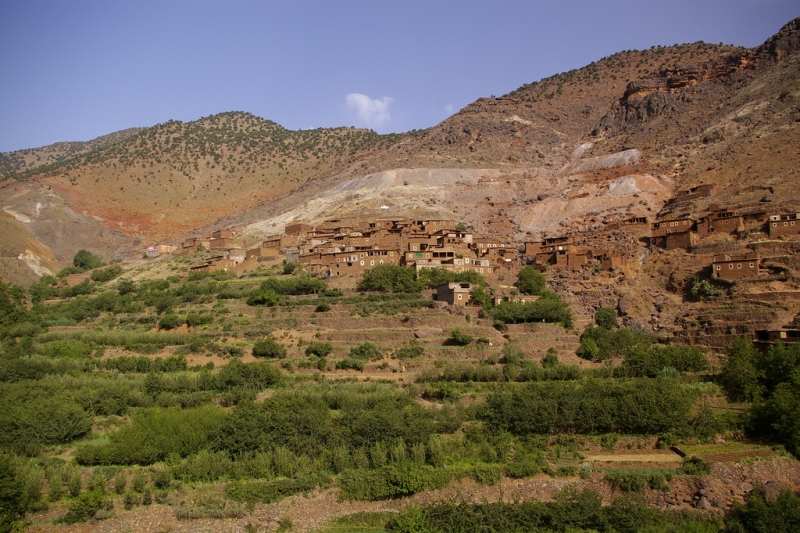 Souss Massa National Park Excursion from Agadir | Souss-Massa-Draa Morocco