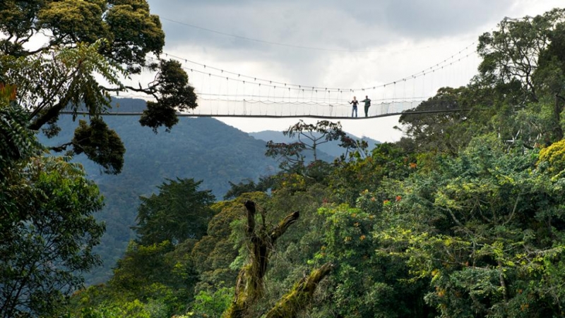 Short but Sweet Rwanda Retreat