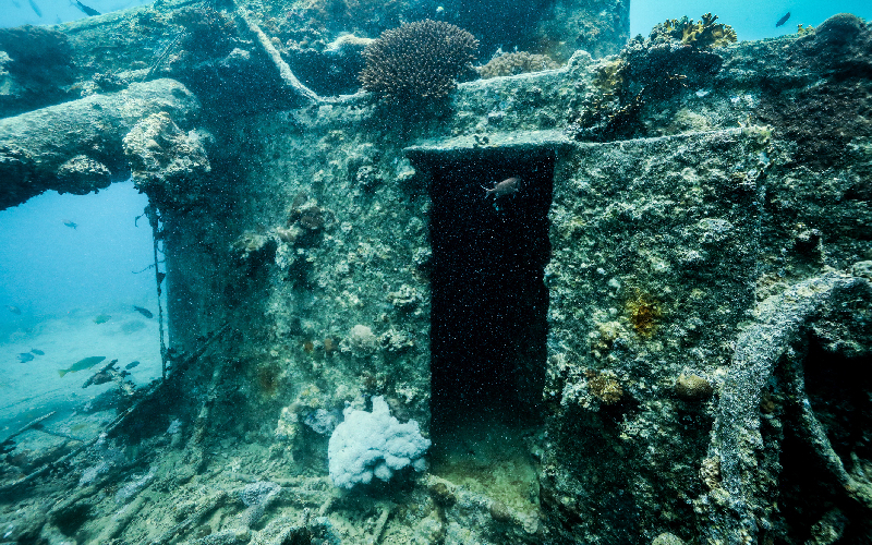 12-Day Egypt’s Ancient Wonders & Red Sea Wrecks