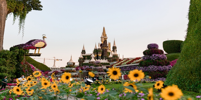 Miracle Garden | Dubai Miracle Garden | Dubai