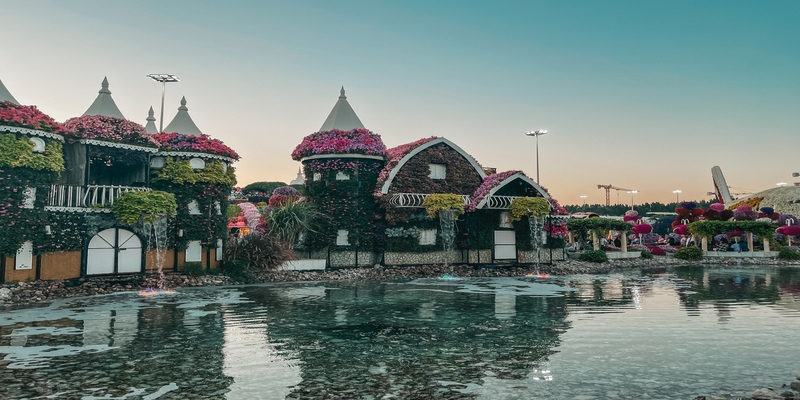 Miracle Garden | Dubai Miracle Garden | Dubai