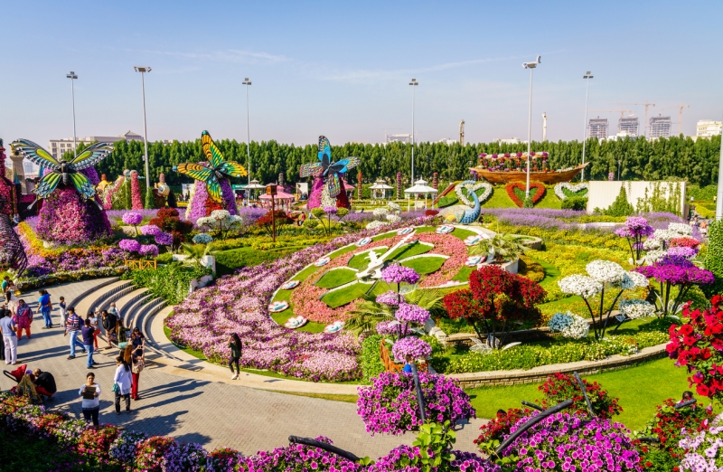 Dubai Miracle Garden Dubai Miracle Garden