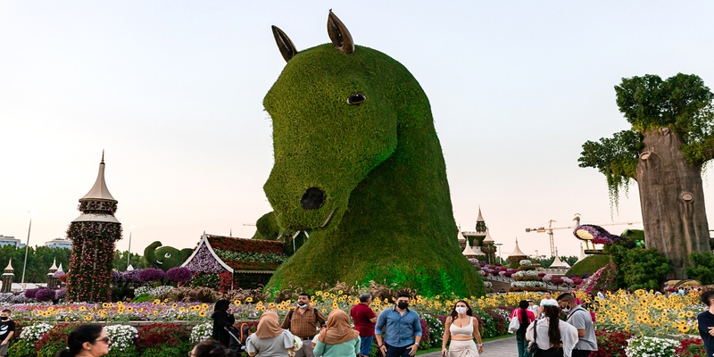 Miracle Garden | Dubai Miracle Garden | Dubai