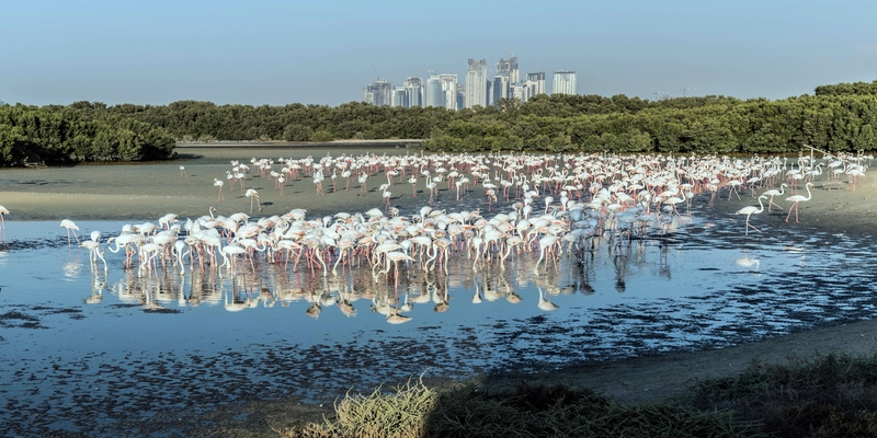 Ras Al Khor Ras Al Khor