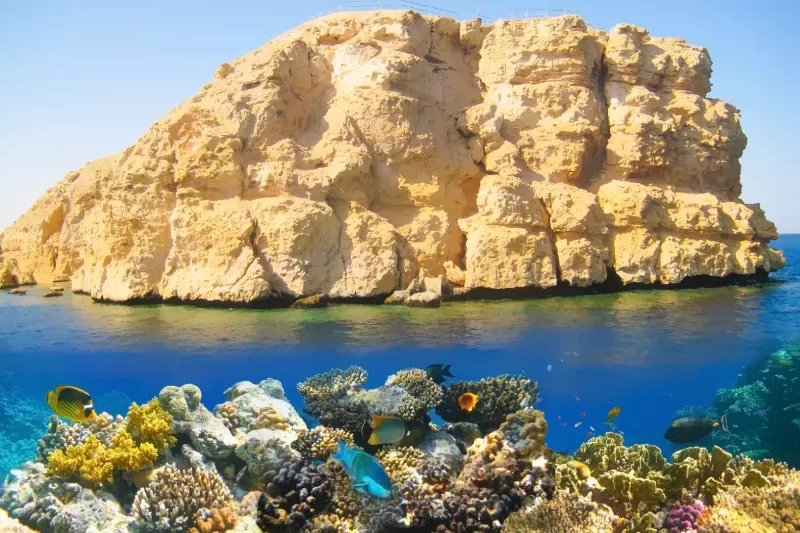 Sharm El Sheikh Barriera Corallina