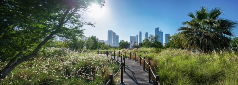 IMG Dubai IMG Dubai