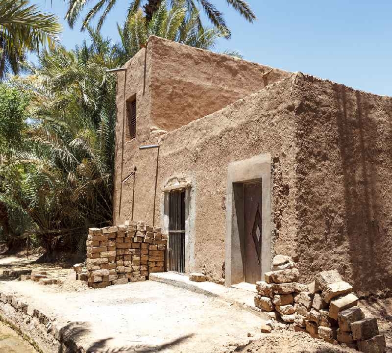 Oásis ao redor da vila de Zagora, Vale do Draa, Marrocos, África Oásis ao redor da vila de Zagora, Vale do Draa, Marrocos, África