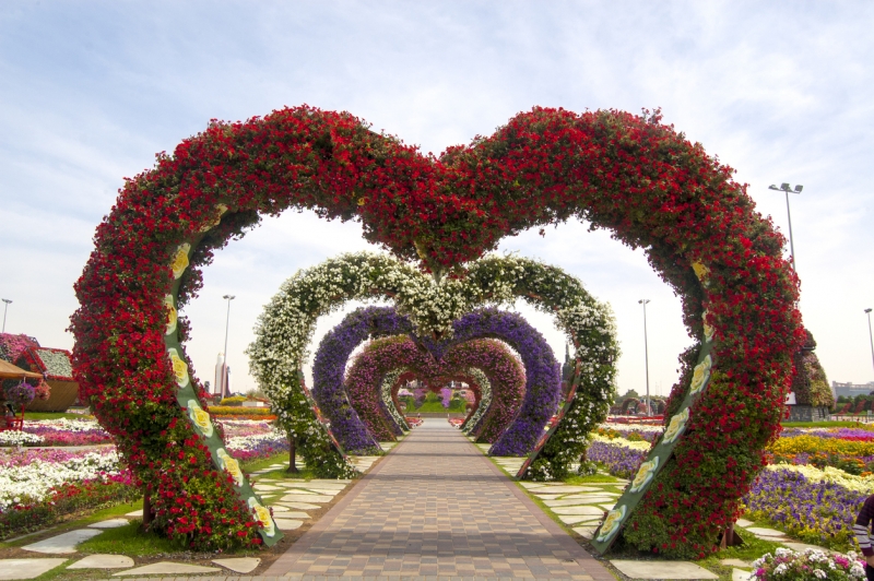 Dubai Miracle Garden Dubai Miracle Garden
