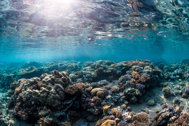 dahab ägypten
