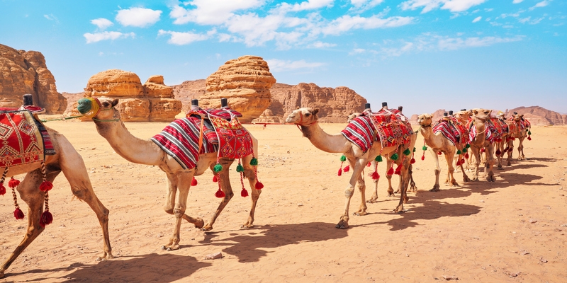 El Desierto Saudita El Desierto Saudita