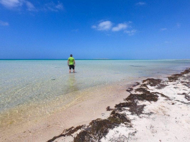 ISole di Farasan a jizan , isole farasan ISole di Farasan a jizan , isole farasan