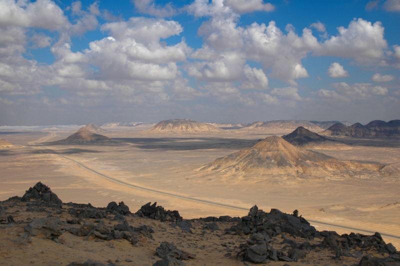 Safari in Egypt Safari in Egypt