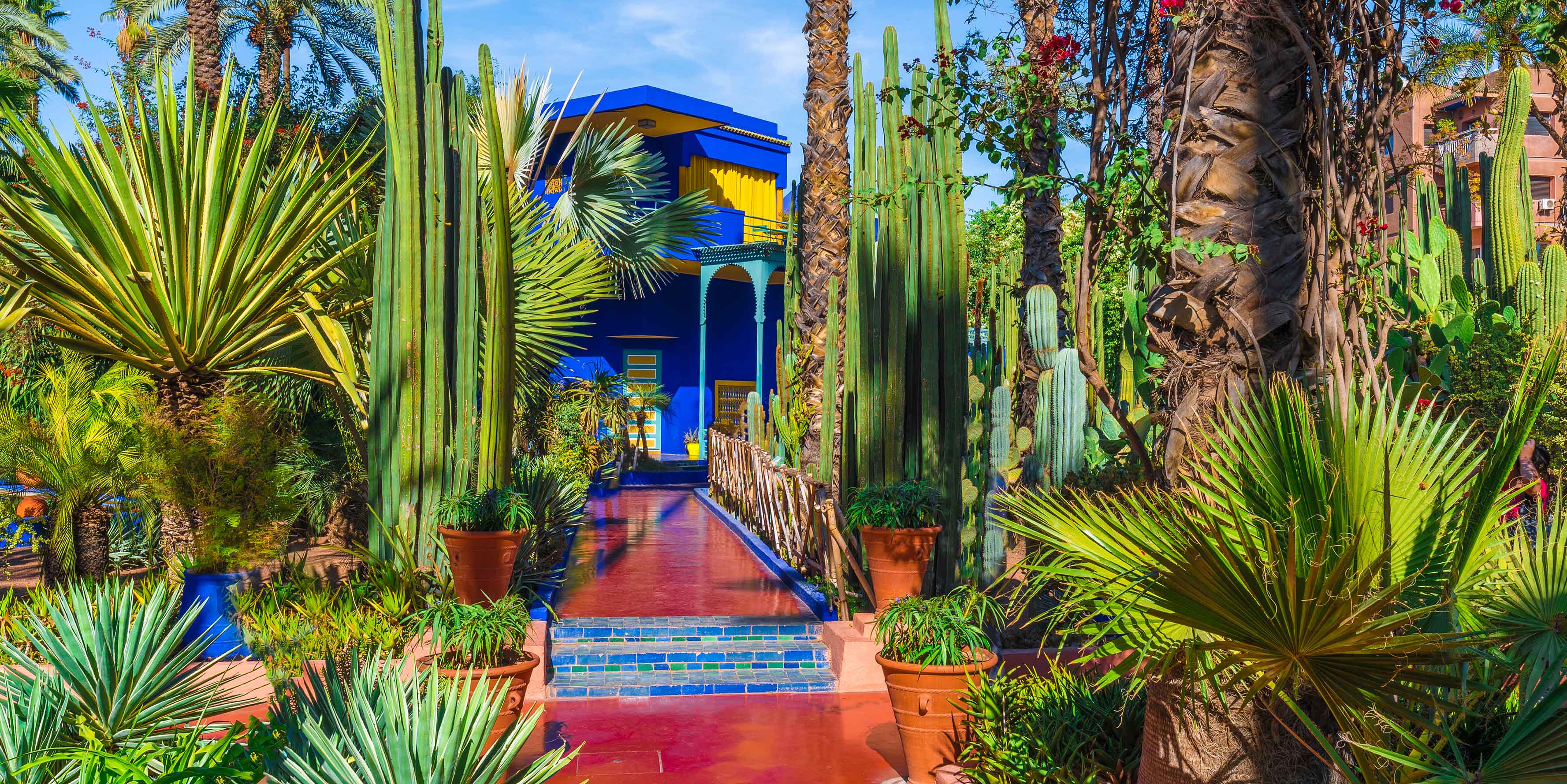 Morocco Uncovered: Royal Cities & Northern Charms