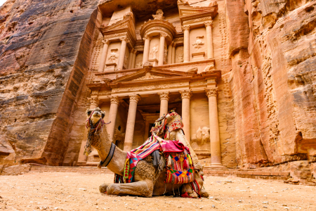 Petra and Wadi Rum Shore Excursion