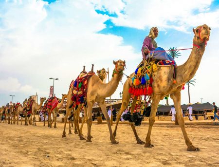Tour to Camel Market of Birqash