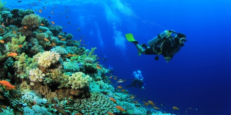 Schnorchelausflug zu Sharm El Naga