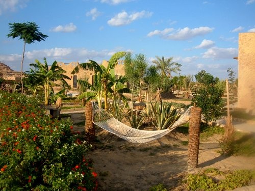 L'Oasi di Dakhla nel Deserto Occidentale: Guida Turistica