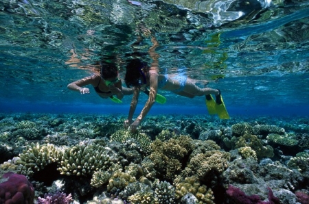 Escursione Snorkeling Port Ghalib in Vari Punti