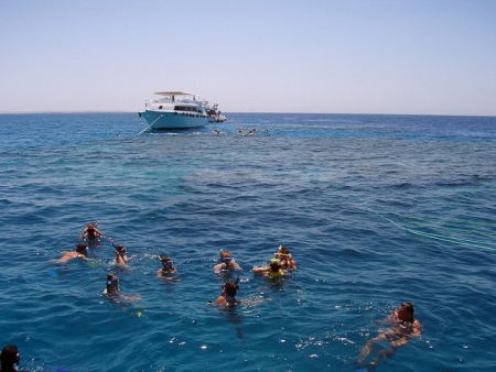 Ras Mohammed Snorkeling Day Trip from Sharm Marina