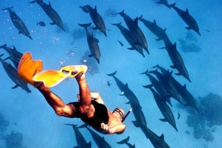 Sataya Dolphin Reef Schnorchelausflug