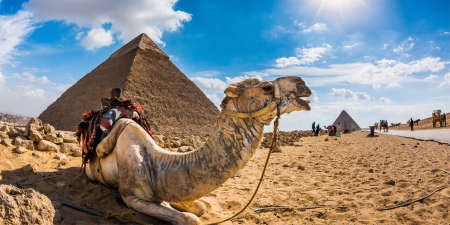 Tour Ferragosto al Cairo, Crociera Nilo e Hurghada