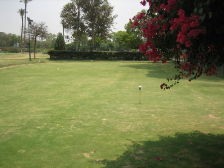 The Gezira Golf Club | Golf in Egypt | Gezira Sporting Club