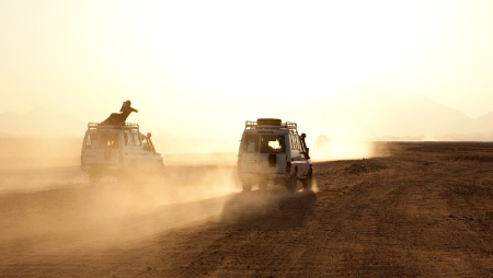 Safari en Jeep 4X4