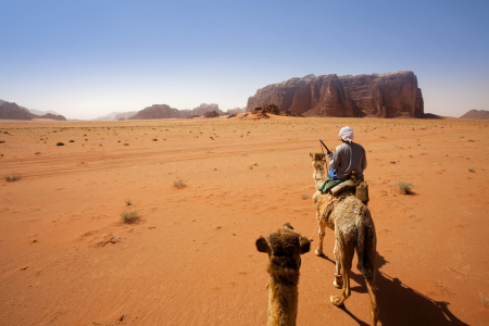 Wadi Rum Day Tour from Aqaba Port