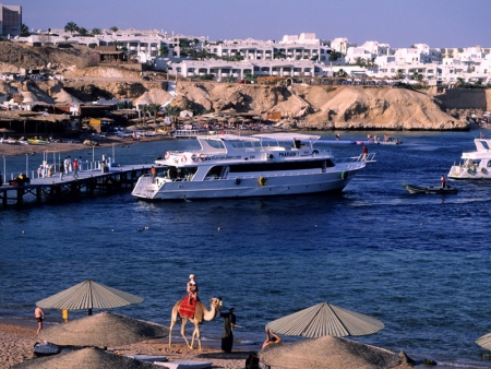 Tour Porto Sharm