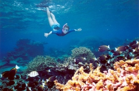 Snorkeling Sharm El Naga Bay