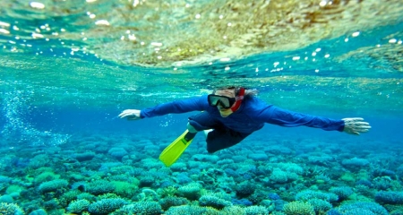Snorkeling Isola Hamata