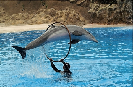 Atracciones y Actividades en Sharm EL Sheikh