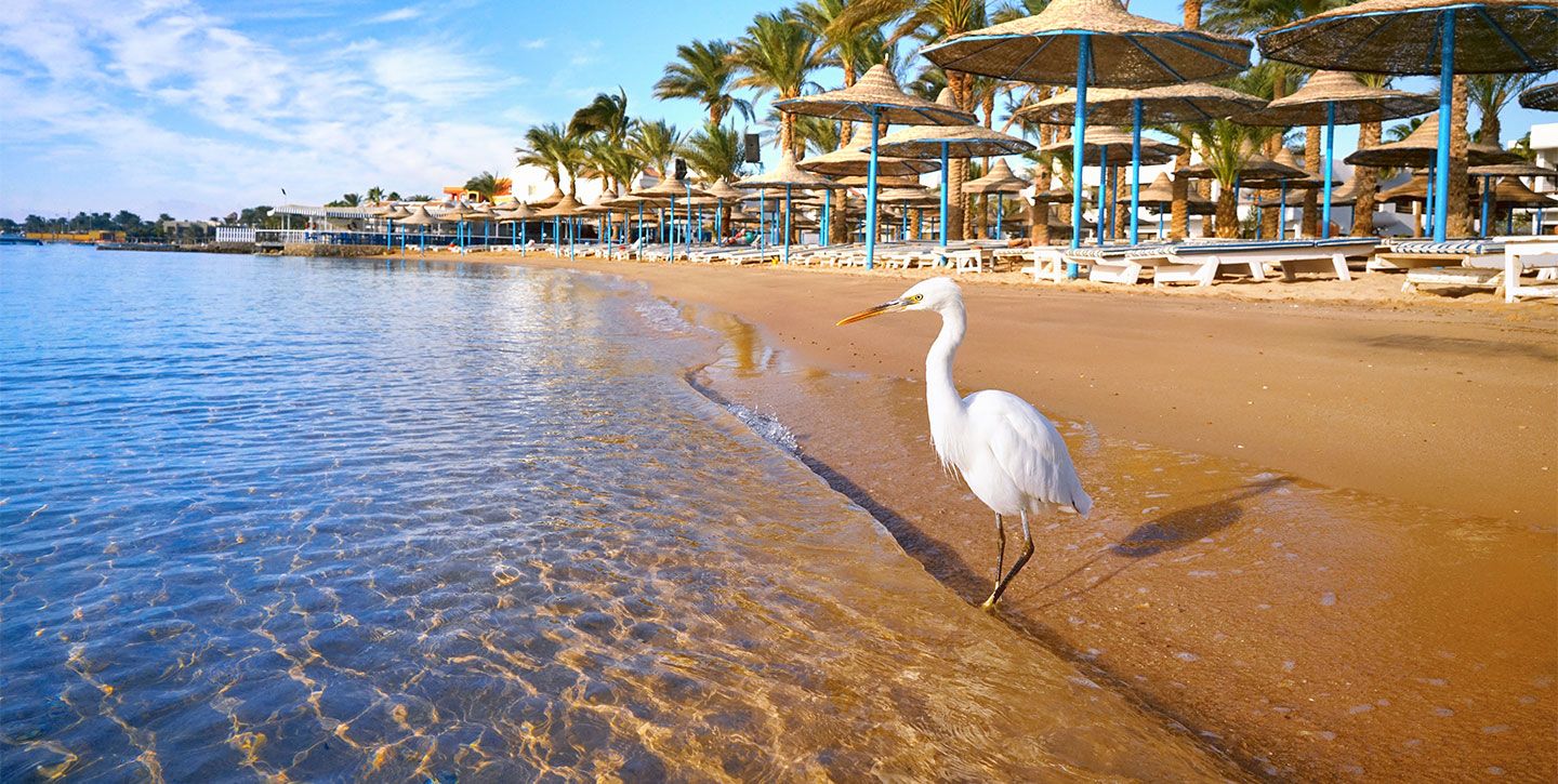 Was wissen sie über die Sehenswürdigkeiten in Hurghada?