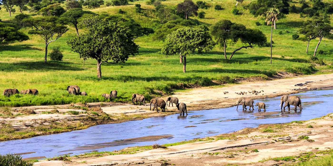 Safari Sudafrica Safari Sudafrica