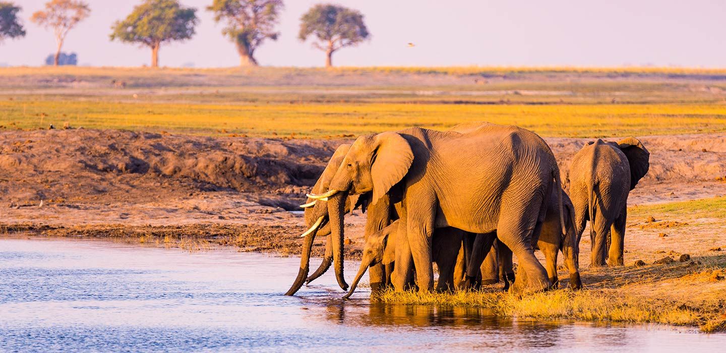 A Guide to the Best Attractions in Africa