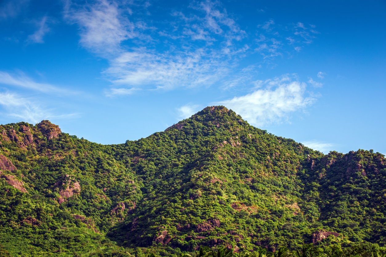 Abha: O Refúgio Secreto nas Montanhas da Arábia Saudita [Guia 2025]