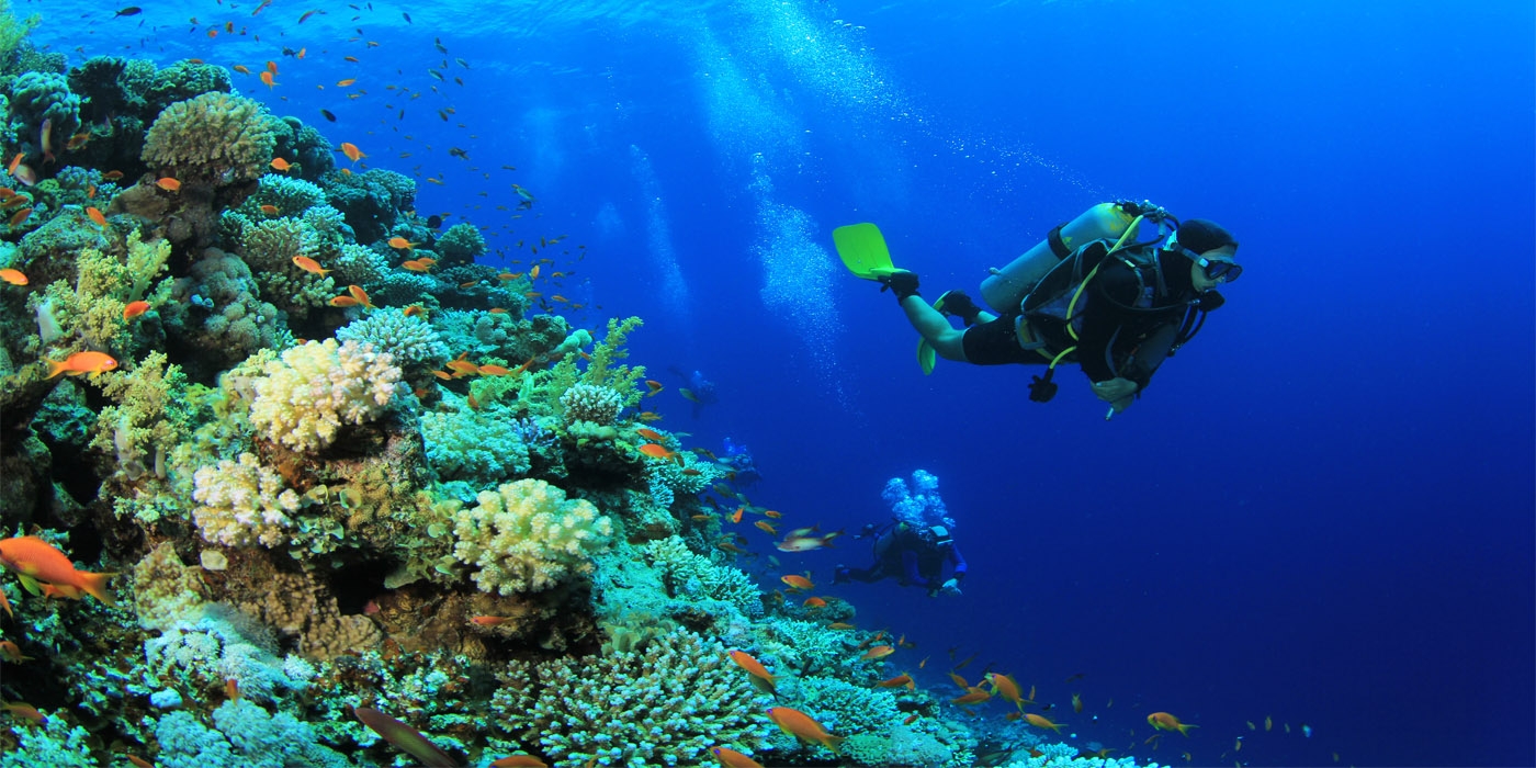 Sharm el Sheikh: Guía Completa de Turismo