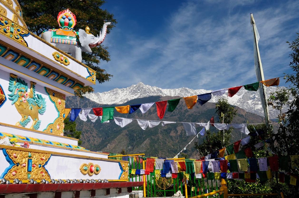 Dharamshala: Segredos da Cidade Sagrada do Dalai Lama na Índia