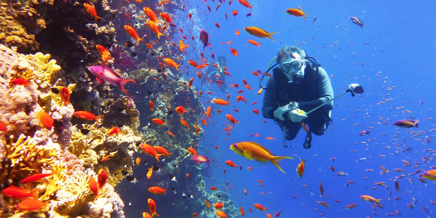 Diving in Egypt