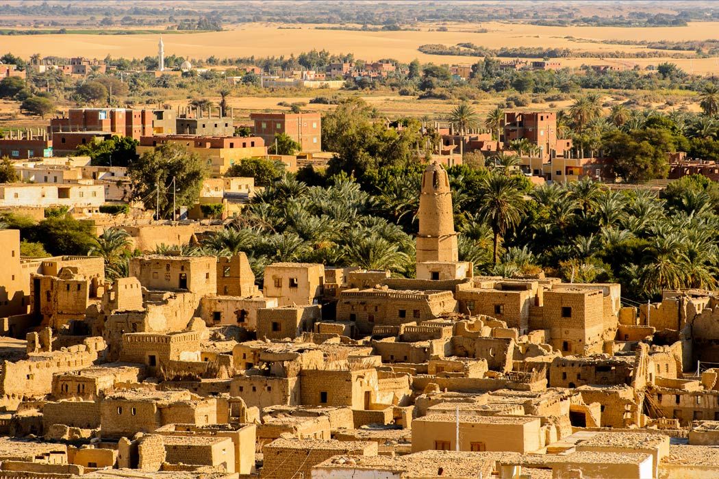 Dakhla Oasis Egypt