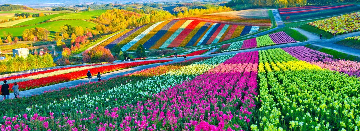 Japan Reise, Japan Rundreise, Rundreise Japan Japan Reise, Japan Rundreise, Rundreise Japan