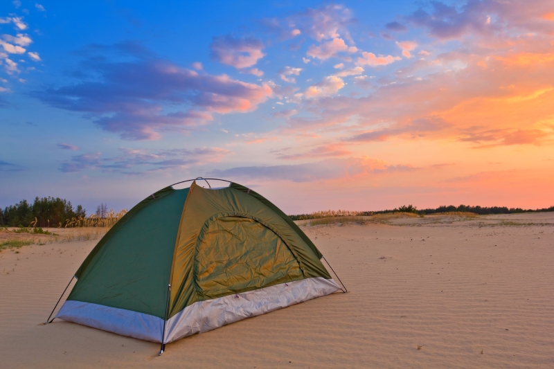 Unforgettable Desert Safari in Egypt: Experience Sandboarding, Stargazing, and More