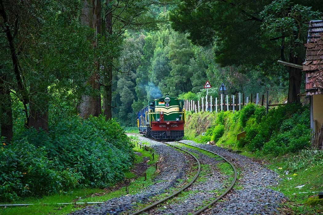 Ooty | Queen of the Nilgiris