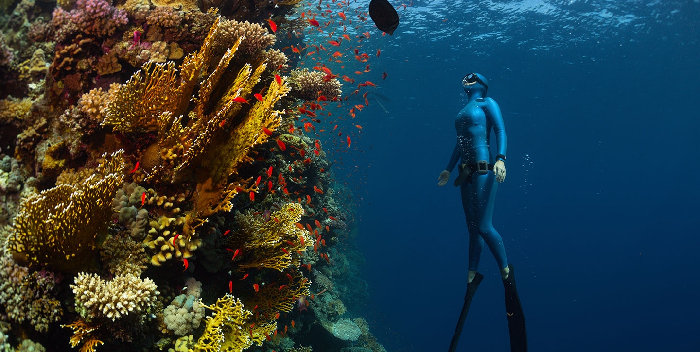 Dónde bucear en Egipto : Los 10 mejores destinos de buceo en Egipto