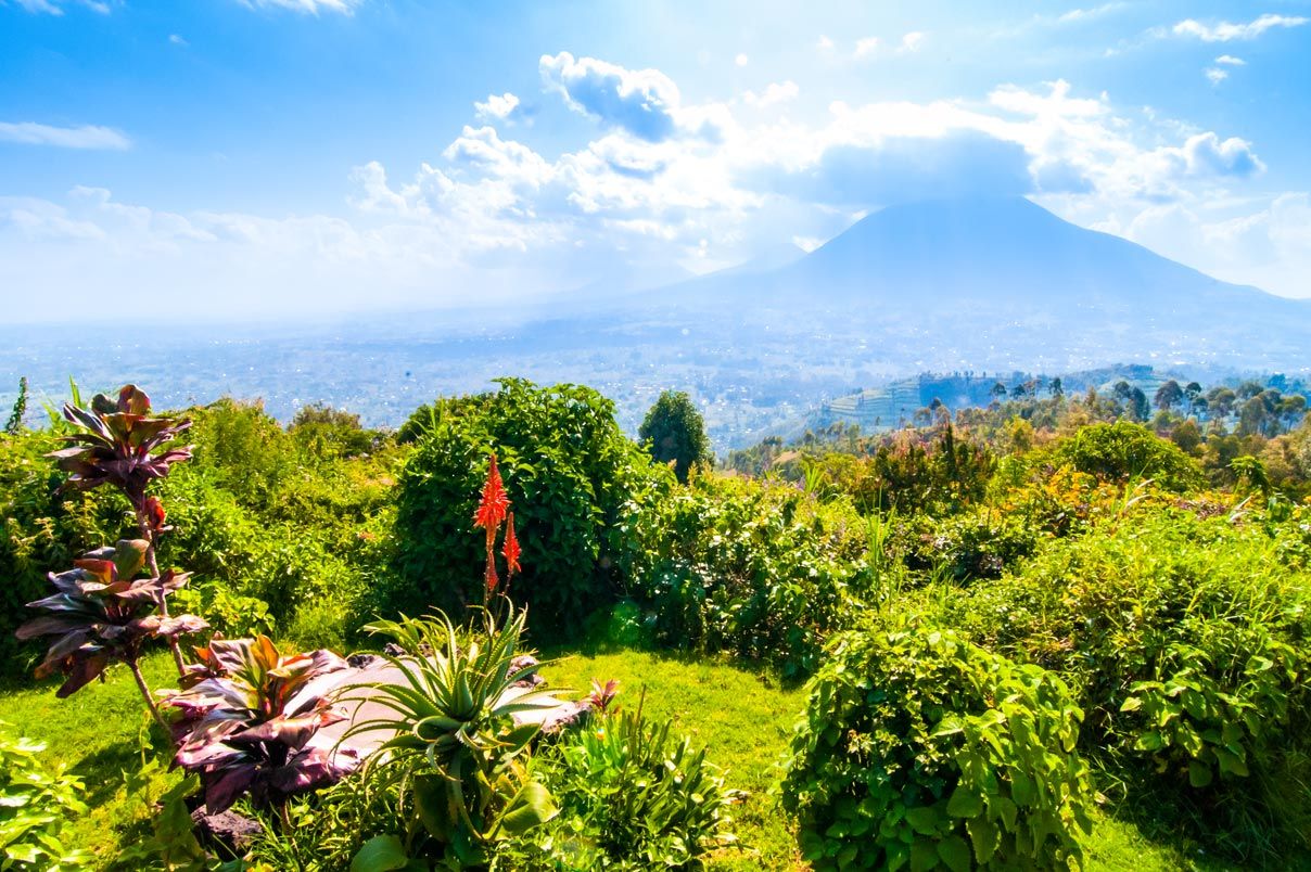 Rwanda Travel Information: Rwanda Tourism