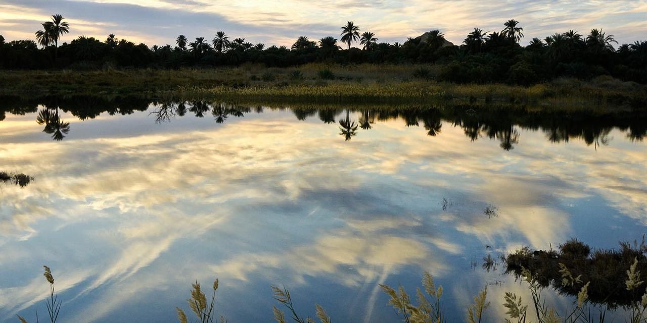 Oasis De Siwa