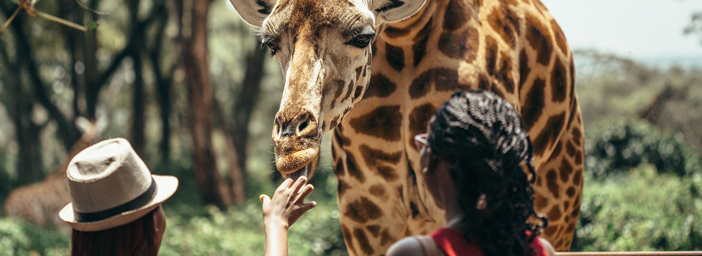 Nairobi National Park