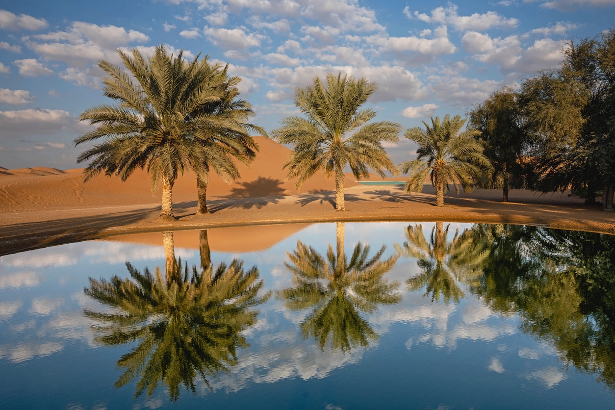Oásis de Al Qudra: Refúgio no Deserto